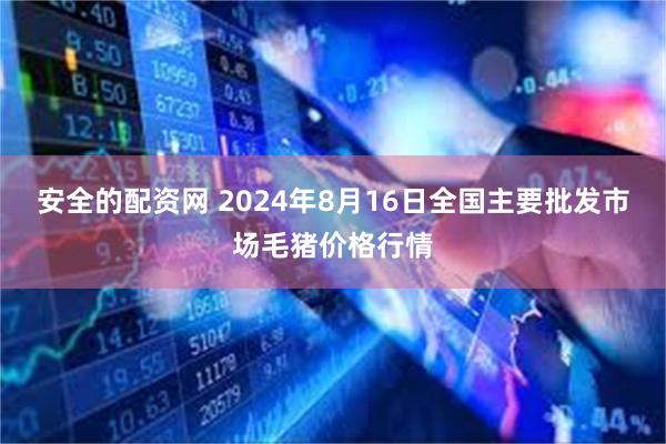 安全的配资网 2024年8月16日全国主要批发市场毛猪价格行情