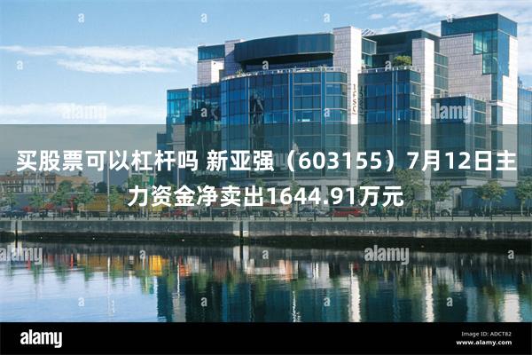 买股票可以杠杆吗 新亚强（603155）7月12日主力资金净卖出1644.91万元