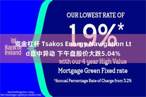 资金杠杆 Tsakos Energy Navigation Ltd盘中异动 下午盘股价大跌5.04%