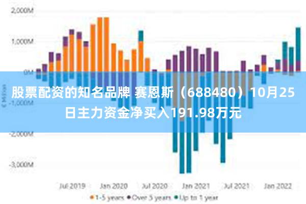 股票配资的知名品牌 赛恩斯（688480）10月25日主力资金净买入191.98万元