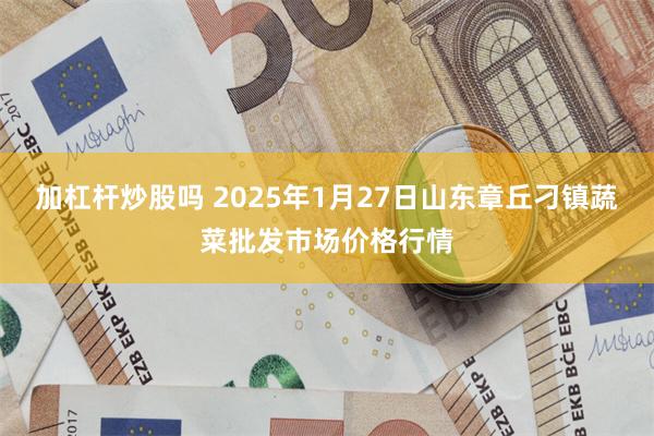 加杠杆炒股吗 2025年1月27日山东章丘刁镇蔬菜批发市场价格行情