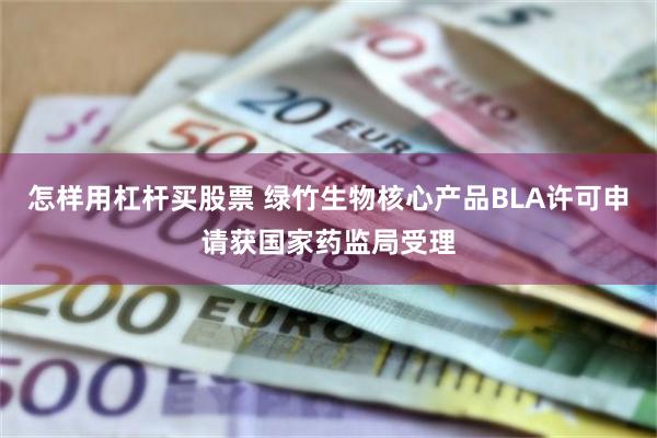 怎样用杠杆买股票 绿竹生物核心产品BLA许可申请获国家药监局受理