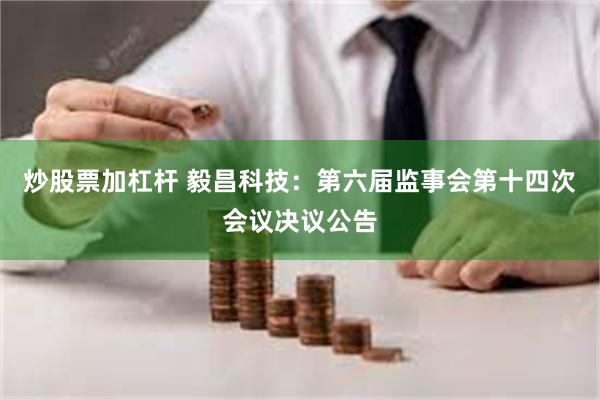 炒股票加杠杆 毅昌科技：第六届监事会第十四次会议决议公告